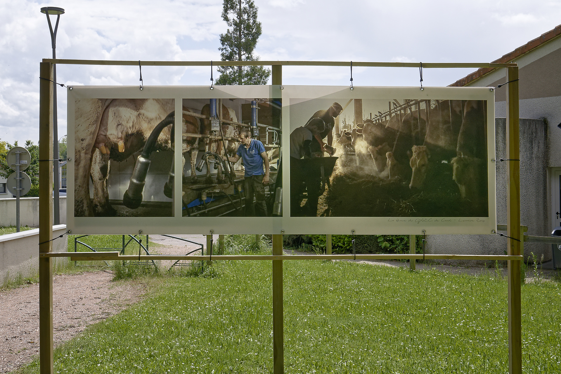 La ferme de GAEC de Carré, Lorraine Roux