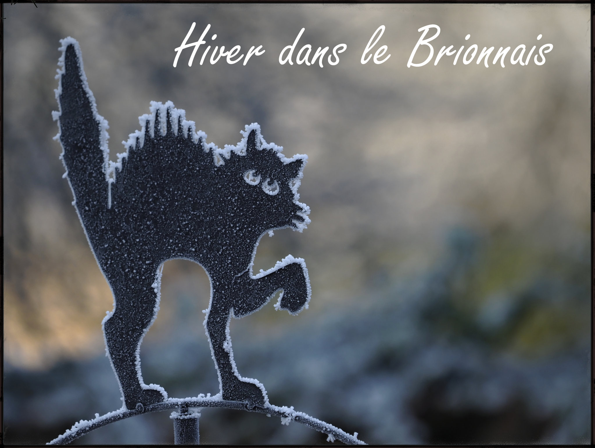 Lire la suite à propos de l’article Paysages d&rsquo;hiver dans le Brionnais